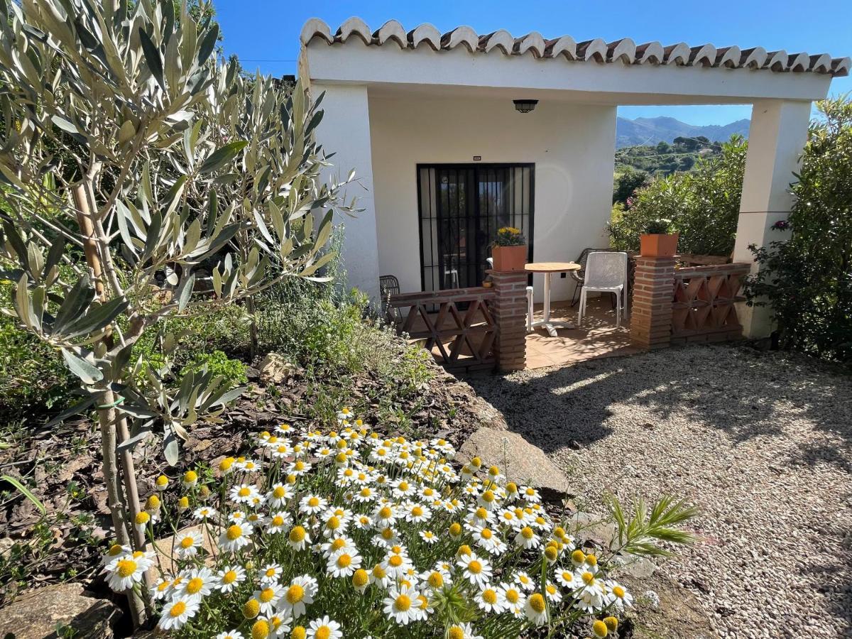 Apartamento Casa Del Limon Canillas de Aceituno Exterior foto