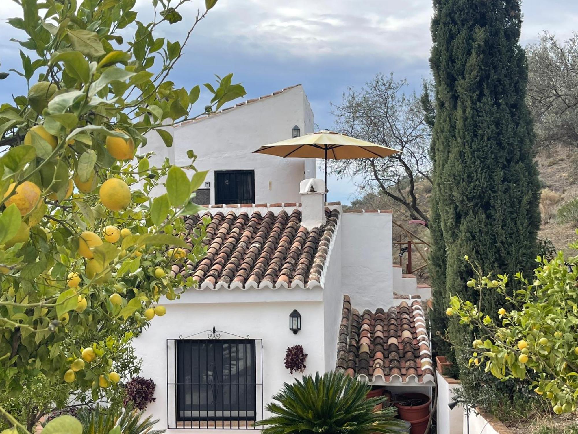 Apartamento Casa Del Limon Canillas de Aceituno Exterior foto
